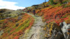 inneri_weide_031