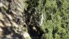 inneri_weide_043