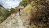 inneri_weide_045