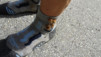 inneri_weide_049