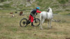 invergneux_19_035