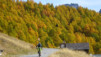 jeitzialbi_nen_15_002