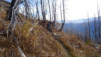 jeitzialbi_nen_15_022