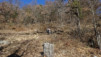 jeur_brule_16_006