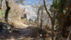 jeur_brule_16_023