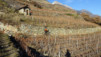jeur_brule_16_034