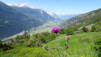 jolialp_003