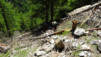 jolialp_012