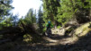 la_cot_la_dent_008