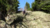 la_cot_la_dent_035