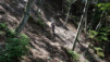 lago_di_ledro_013