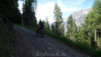 larzey_001