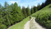 larzey_002