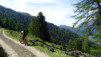 larzey_004
