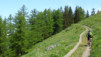 larzey_005