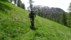 larzey_013