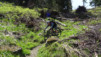 larzey_019