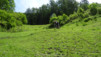 larzey_026