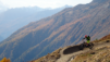 lauchernalp_002