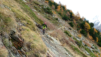 lauchernalp_010