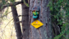 lauchernalp_025