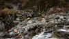 lauchernalp_028