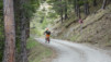 leiggern_17_004