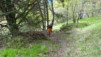 leiggern_17_017