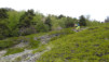 leiggern_17_018