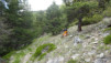 leiggern_17_023