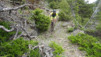 leiggern_17_025