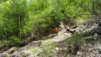 leiggern_17_028