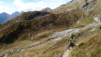 loetschental_14_016
