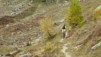 loetschental_14_022
