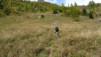 loetschental_14_032