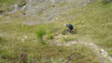 loetschental_14_037
