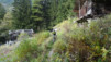 loetschental_14_041