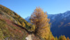 loetschental_17_008