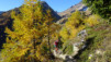 loetschental_17_011