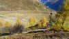loetschental_17_017