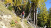 loetschental_17_022