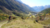 loetschental_17_027_0