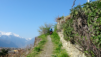 lousine_21_001