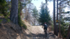 lousine_21_009