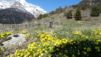 lousine_21_011