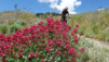 meggialp_024