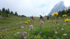 meidpass_14_003