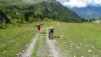 meidpass_14_004
