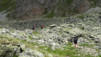 meidpass_14_013