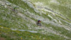 meidpass_14_032